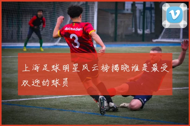 上海足球明星风云榜揭晓谁是最受欢迎的球员