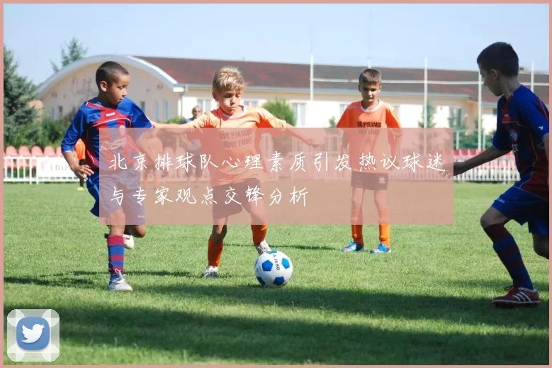 北京排球队心理素质引发热议球迷与专家观点交锋分析