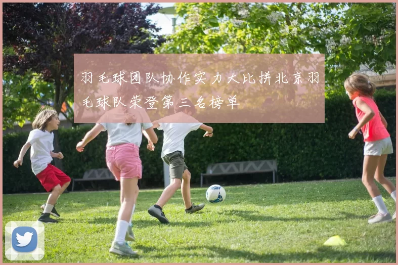 羽毛球团队协作实力大比拼北京羽毛球队荣登第三名榜单