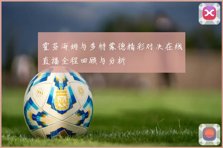 霍芬海姆与多特蒙德精彩对决在线直播全程回顾与分析