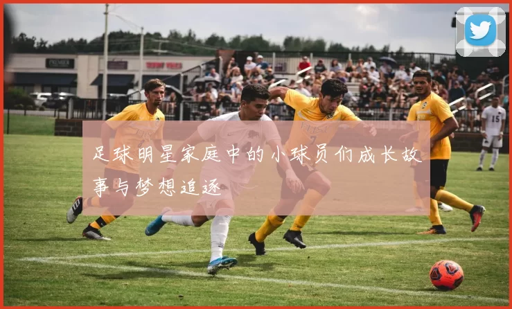 足球明星家庭中的小球员们成长故事与梦想追逐