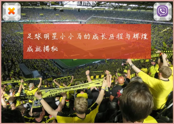 足球明星小小马的成长历程与辉煌成就揭秘
