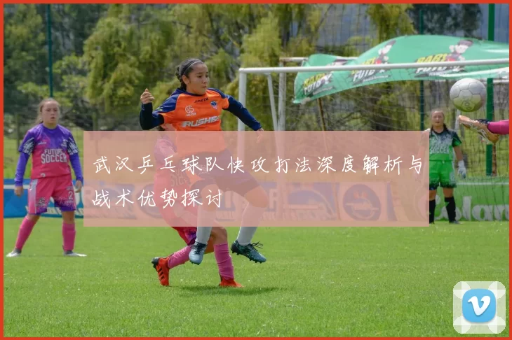 武汉乒乓球队快攻打法深度解析与战术优势探讨