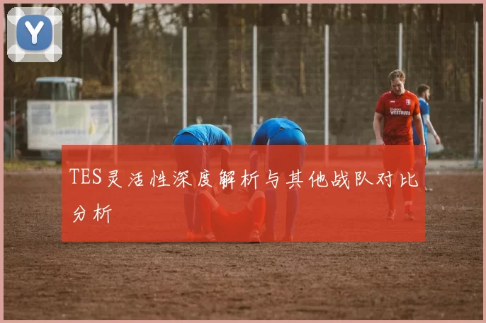TES灵活性深度解析与其他战队对比分析