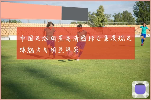 中国足球明星高清图标合集展现足球魅力与明星风采