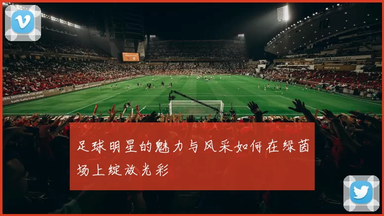 足球明星的魅力与风采如何在绿茵场上绽放光彩