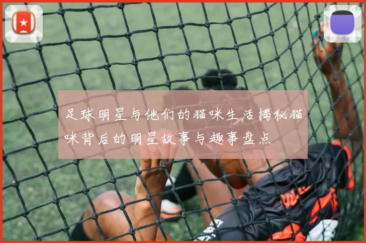 足球明星与他们的猫咪生活揭秘猫咪背后的明星故事与趣事盘点