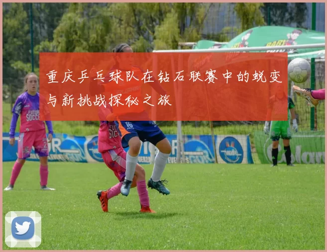 重庆乒乓球队在钻石联赛中的蜕变与新挑战探秘之旅