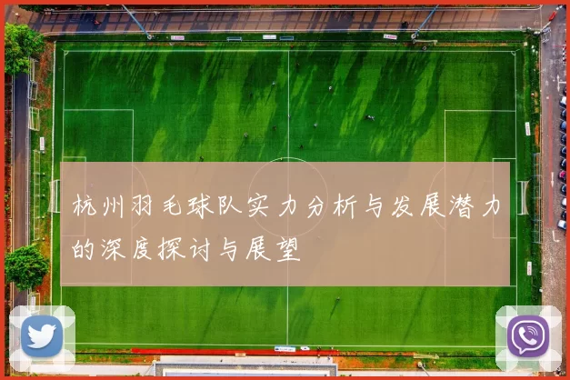 杭州羽毛球队实力分析与发展潜力的深度探讨与展望
