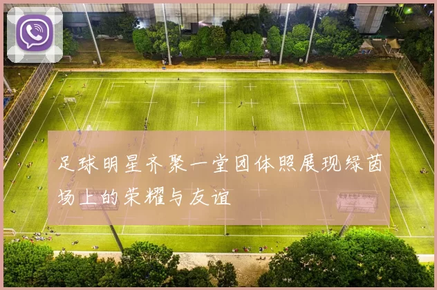 足球明星齐聚一堂团体照展现绿茵场上的荣耀与友谊