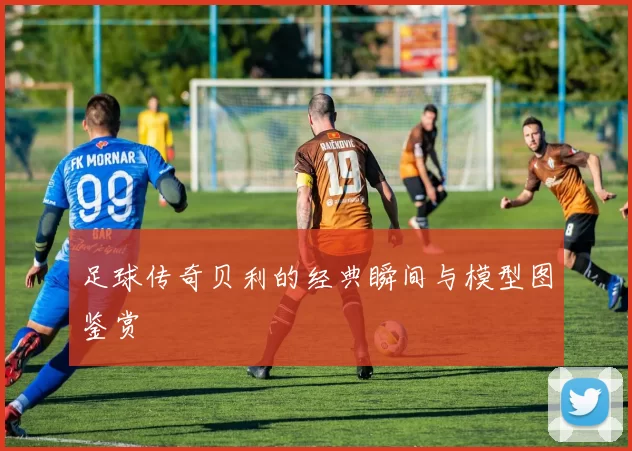 足球传奇贝利的经典瞬间与模型图鉴赏