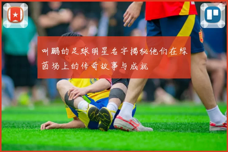叫鹏的足球明星名字揭秘他们在绿茵场上的传奇故事与成就