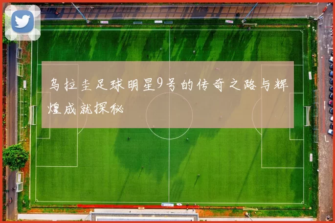 乌拉圭足球明星9号的传奇之路与辉煌成就探秘