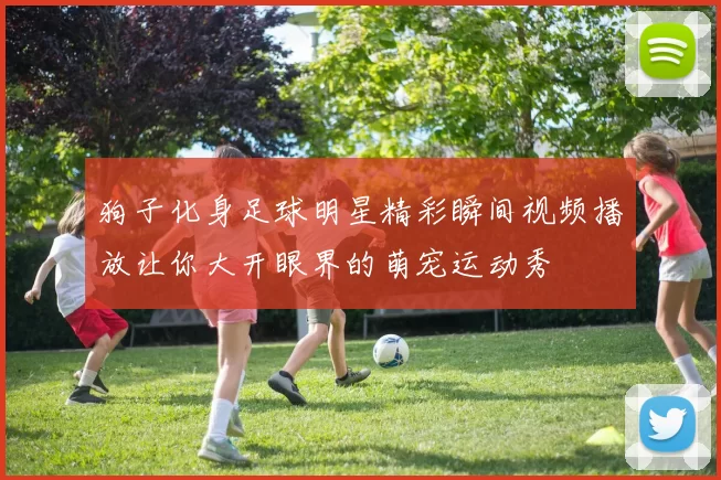 狗子化身足球明星精彩瞬间视频播放让你大开眼界的萌宠运动秀