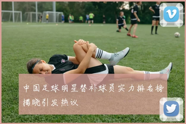 中国足球明星替补球员实力排名榜揭晓引发热议