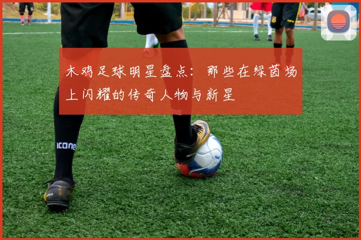 木鸡足球明星盘点：那些在绿茵场上闪耀的传奇人物与新星