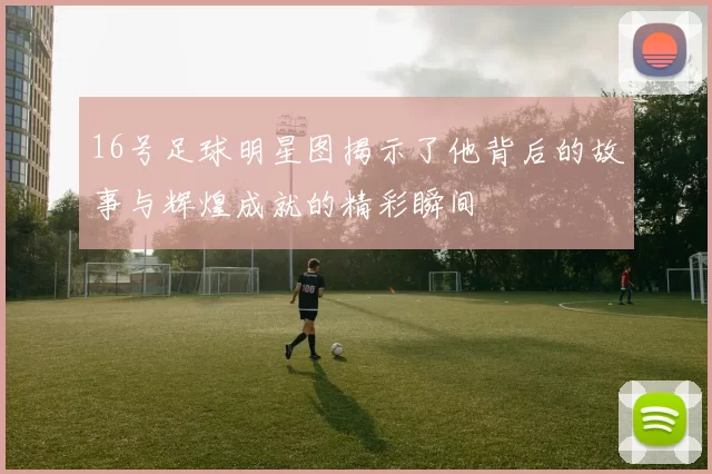 16号足球明星图揭示了他背后的故事与辉煌成就的精彩瞬间
