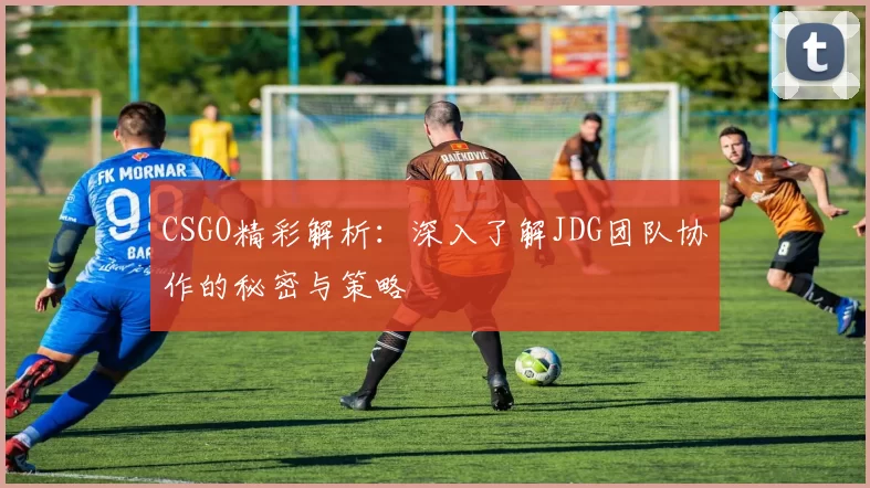 CSGO精彩解析：深入了解JDG团队协作的秘密与策略