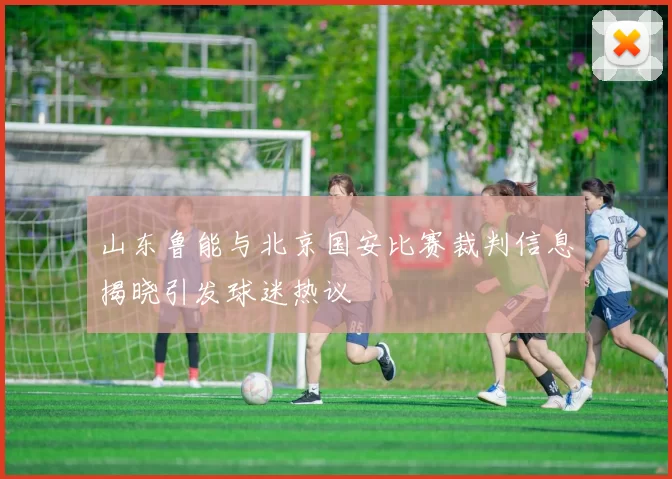 山东鲁能与北京国安比赛裁判信息揭晓引发球迷热议