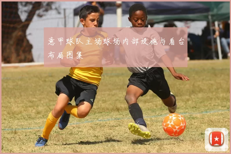 意甲球队主场球场内部设施与看台布局图集