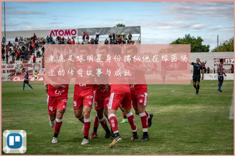 老虎足球明星身份揭秘他在绿茵场上的传奇故事与成就