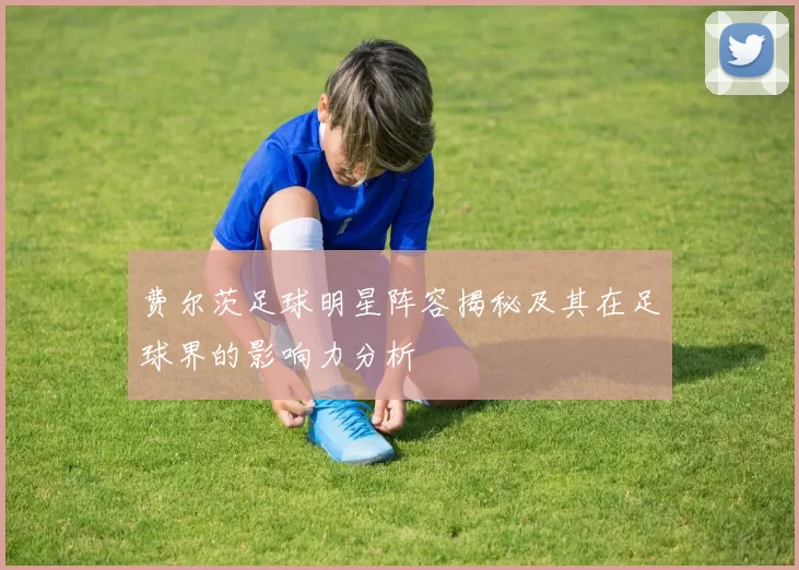 费尔茨足球明星阵容揭秘及其在足球界的影响力分析