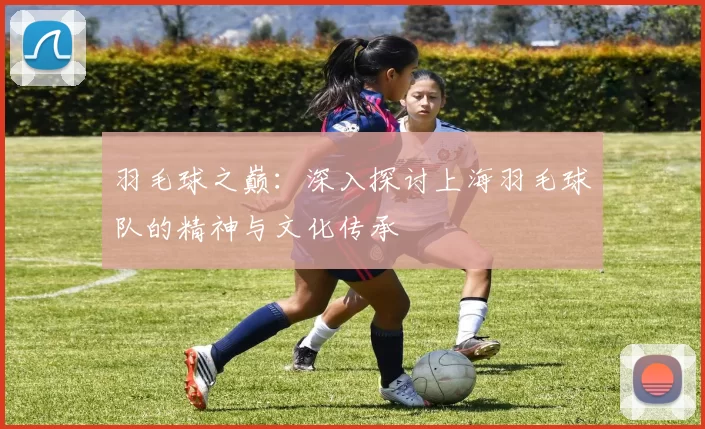 羽毛球之巅：深入探讨上海羽毛球队的精神与文化传承