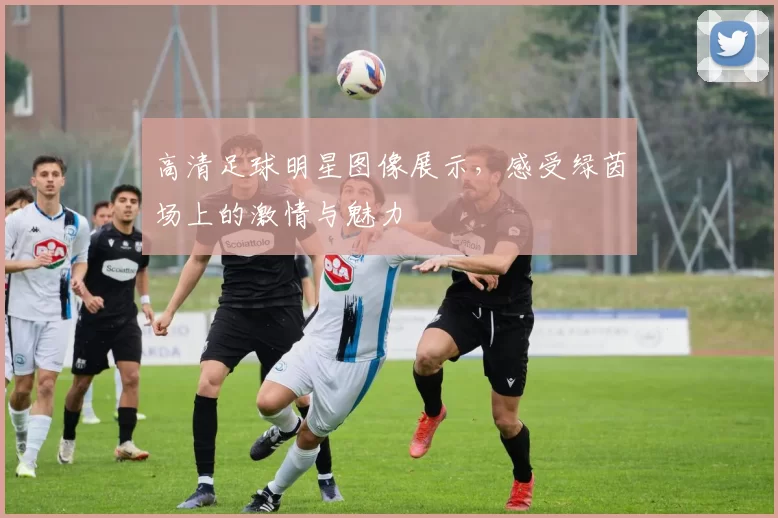 高清足球明星图像展示，感受绿茵场上的激情与魅力
