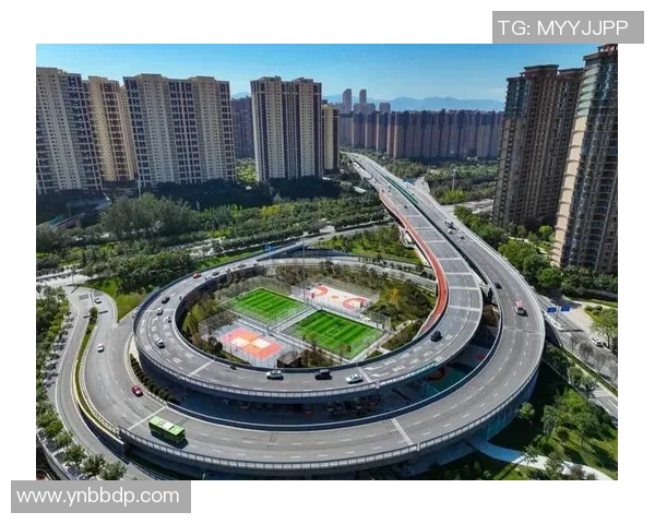 竞技体育目标驱动下的全面发展与竞技水平提升路径探索